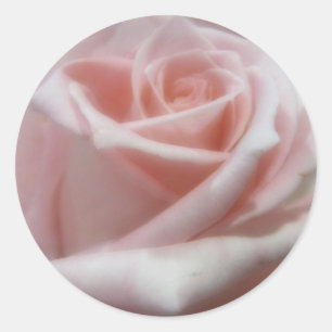 Zacht Bord Roze Rose Ronde Sticker