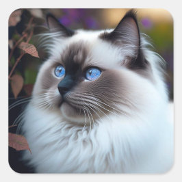Zacht- en fluffy ragdoll-kat vierkante sticker
