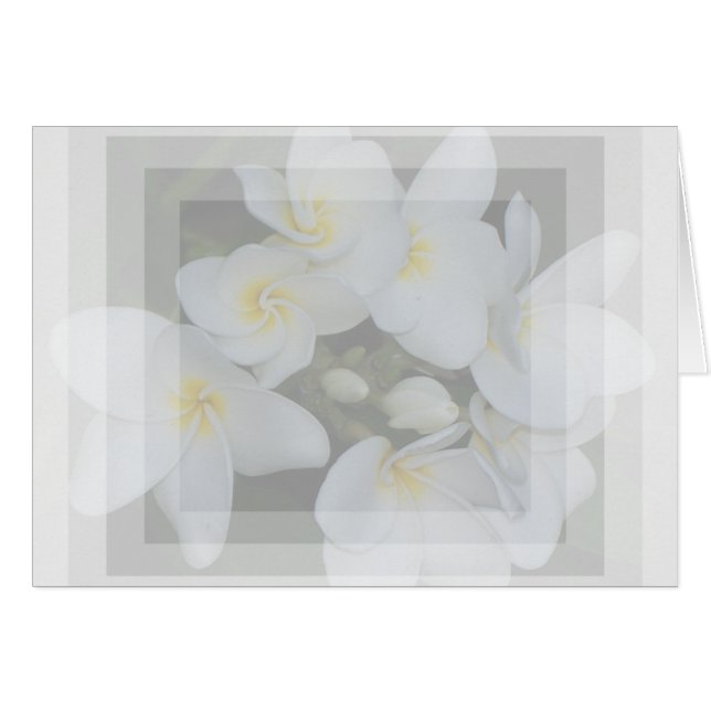 zacht en zoet (Voorkant Horizontaal)