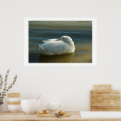 Zacht in wit poster (Keuken)