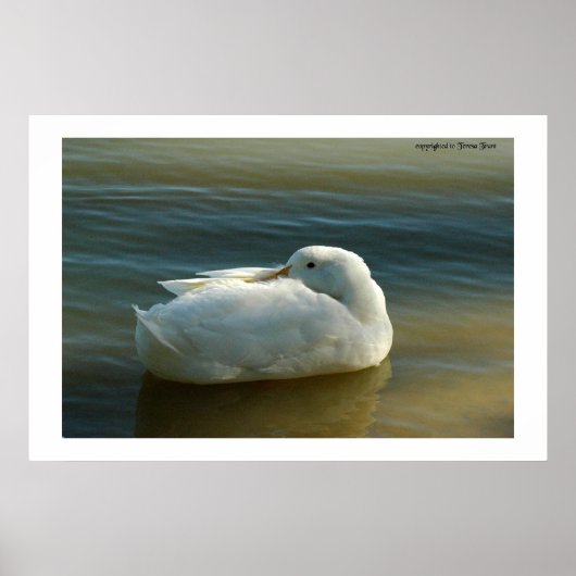 Zacht in wit poster (Voorkant)