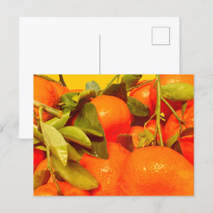 Zacht Oranje vruchtensap Briefkaart