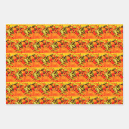 Zacht Oranje vruchtensap Inpakpapier Vel