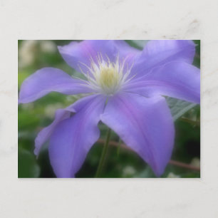 Zacht Paarse "Clematis Flower" Briefkaart