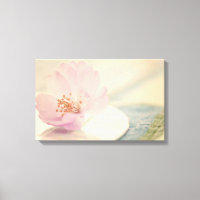 Zacht roze Cherry Blossom Flower