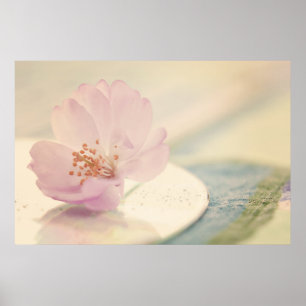 Zacht roze Cherry Blossom Flower Poster