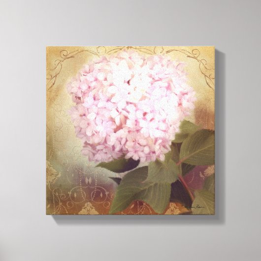 Zacht Zomer 2  Roze Hydrangea Blossom Canvas Afdruk (Voorkant)