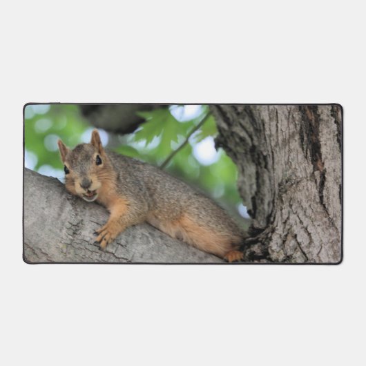 zachtaardig bureaumat (Voorkant)