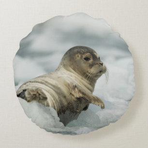 Zachte Babijs Zeehond Rond Kussen