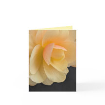 Zachte Begonia Wenskaart