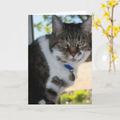 Zachte blanco Wenskaart Kaart (Gele Bloem)