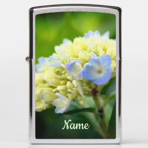 Zachte blauwe hydrangea ventilator, speciaal aange