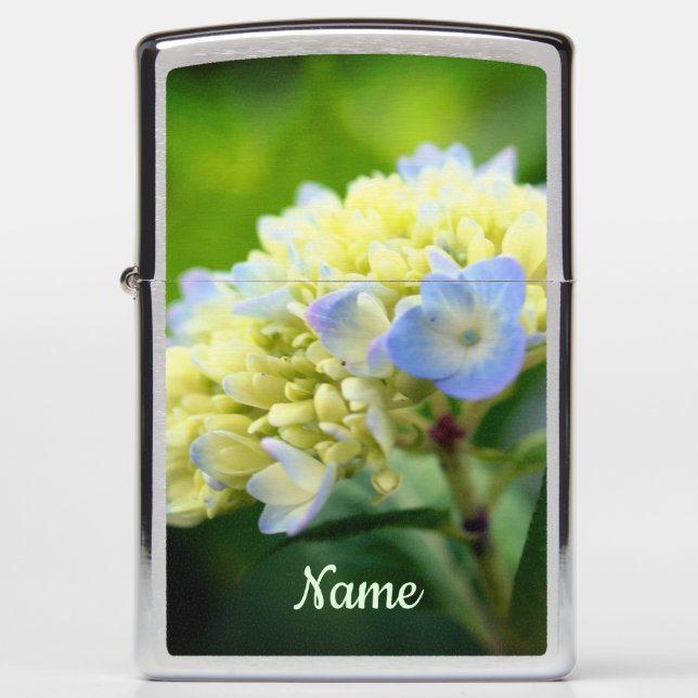 Zachte blauwe hydrangea ventilator, speciaal aange (Voorkant)
