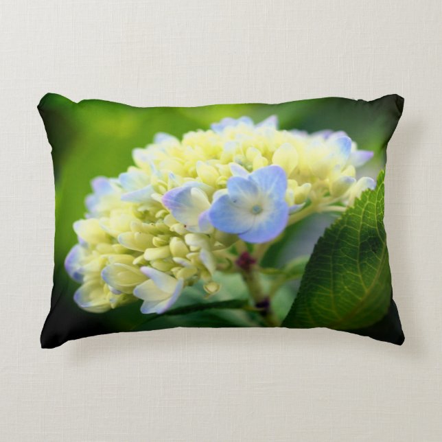 Zachte blauwe hydrangeventilator accent kussen (Voorkant)