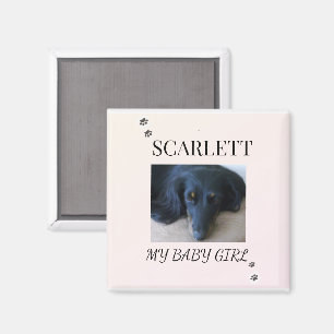 Zachte Blush Huisdierfoto met Pootafdruk Accenten Magneet