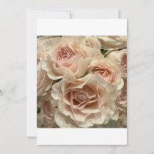 Zachte Blush Roos Boeket Romantische Wenskaart