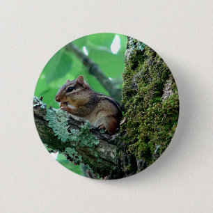 Zachte Chipmunk in Boom Kleding en Cadeaus Ronde Button 5,7 Cm