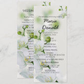 Zachte Elegante Orchidee Programma (Voorkant / Achterkant)
