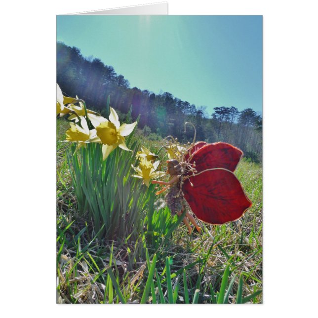 Zachte en gele bloemen (Voorkant)
