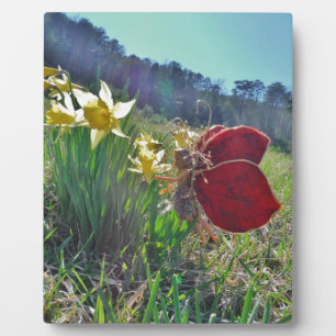 Zachte en gele bloemen fotoplaat