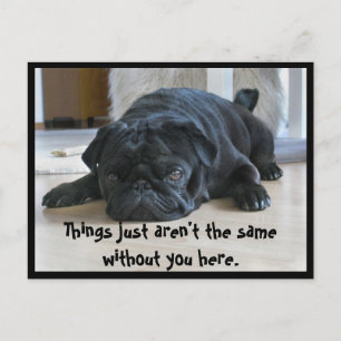 Zachte en luie zwarte pug puppy ansichtkaart briefkaart