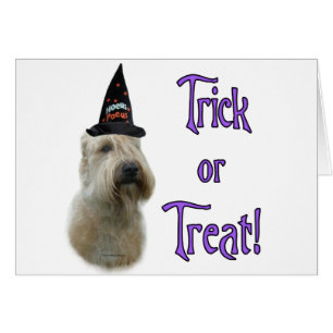 Zachte gecoate tarwetruc