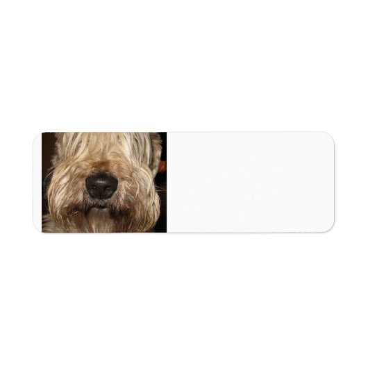 Zachte gecoate whaton terrier.png etiket (Voorkant)
