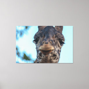 Zachte Giraffe Canvas Afdruk
