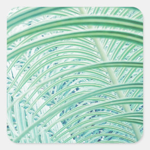 Zachte Groene Plant Palmblad Vierkante Sticker