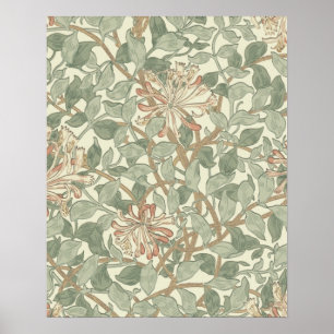 Zachte Groene Vintage William Morris Kamperfoelie Poster