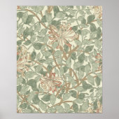 Zachte Groene  William Morris Honeysuckle Poster (Voorkant)