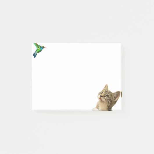 Zachte Kat en Klein Vogeltje Post-it® Notes (Voorkant)