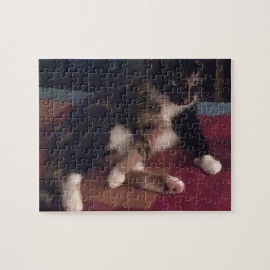 Zachte Katten poten Legpuzzel (Horizontaal)