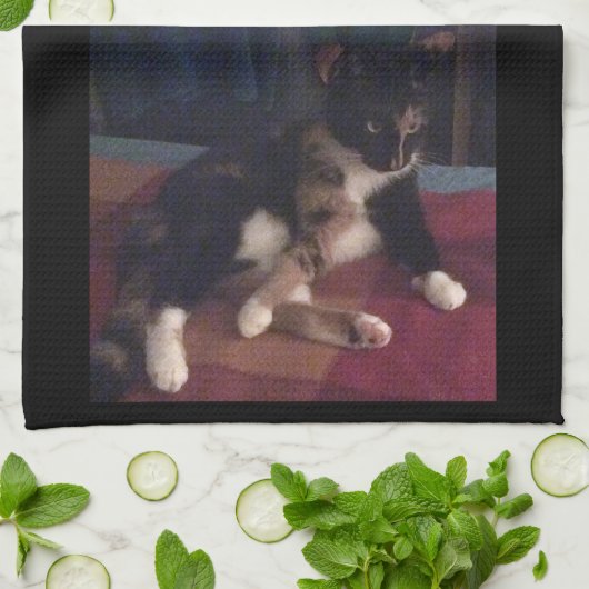 Zachte Katten poten Theedoek (Gevouwen)