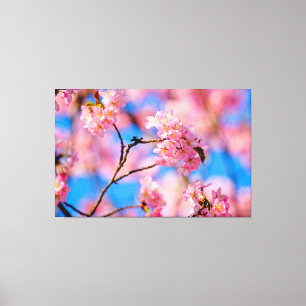Zachte Kersenbloesems Op Een Zonnige Lentedag Canvas Afdruk