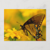 Zachte landing briefkaart (Voorkant)