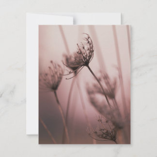 Zachte Licht Wilde Bloemenzaadhoofden Notitiekaartje