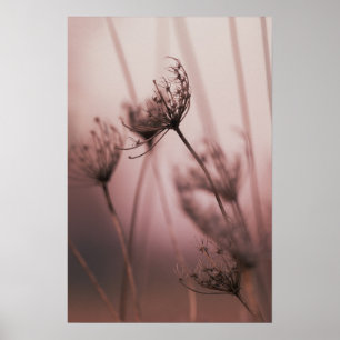 Zachte lichte wilde bloemzaadhoofden poster