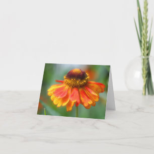 Zachte oranje gele Zinnia bloem fotografie Notitiekaartje