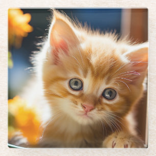 Zachte oranje tabby poes glazen onderzetter