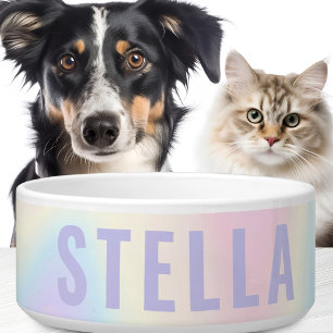 Zachte pastelregenboog, trendy modern minimaal voerbakje