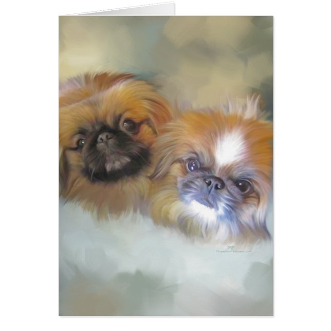 Zachte Pekingese Duo (Voorkant)