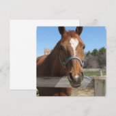 Zachte quarter-paarden kaart (Voorkant / Achterkant)