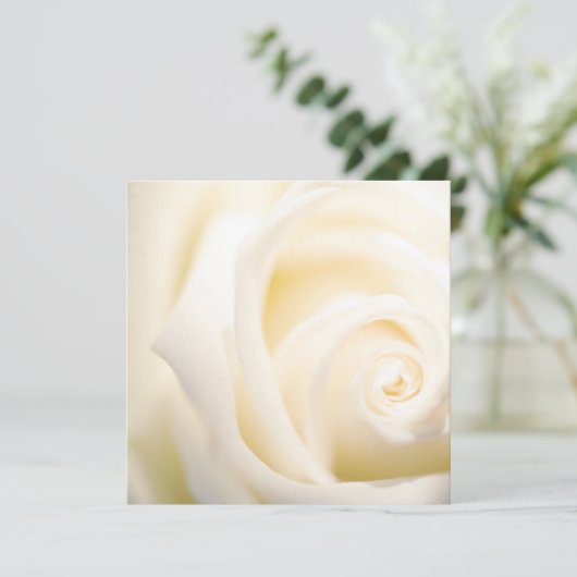 Zachte Roos, platte Kaart afdrukken (Staand voorkant)