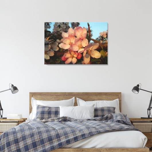 Zachte roze appel bloesems verpakt canvas print (Insitu (Slaapkamer))