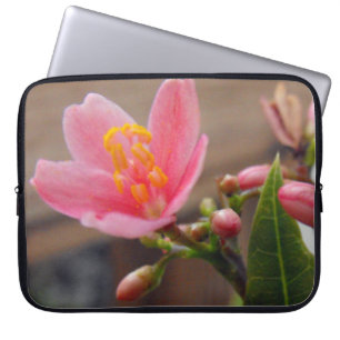 Zachte Roze Jatropha Bloem Laptop Sleeve