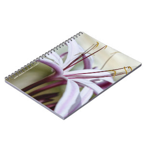 Zachte Roze Lelie Bloem Botanische Foto Kunst Notitieboek