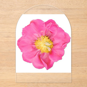 Zachte Roze Pioen Bloem Botanisch Acryl Uitnodigingen