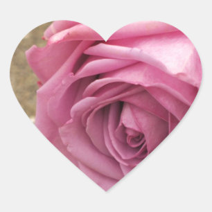 Zachte Roze Roze Hart Sticker