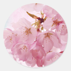 Zachte  roze torenbloesems ronde sticker